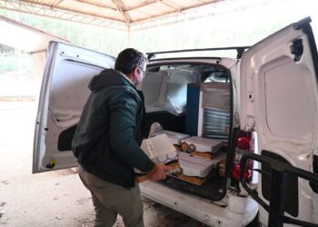 Município apoia apicultores com cinco toneladas de alimento para abelhas
