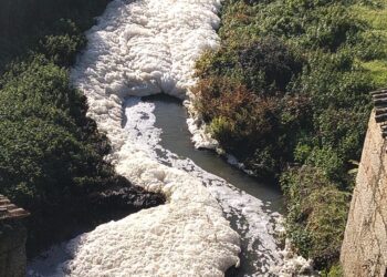 Junta de Freguesia de Meruge volta a denunciar descargas ilegais no Rio Cobral