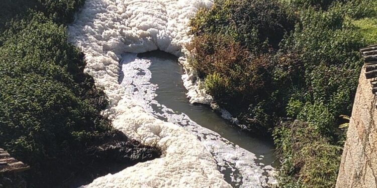 Junta de Freguesia de Meruge volta a denunciar descargas ilegais no Rio Cobral