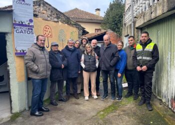 Município instala abrigo para gatos em Vila Franca da Beira