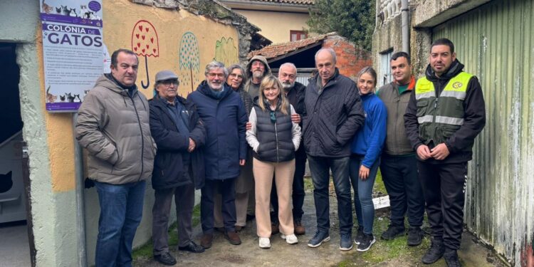 Município instala abrigo para gatos em Vila Franca da Beira