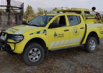 Sapador florestal de Seia acusa colegas de abusos