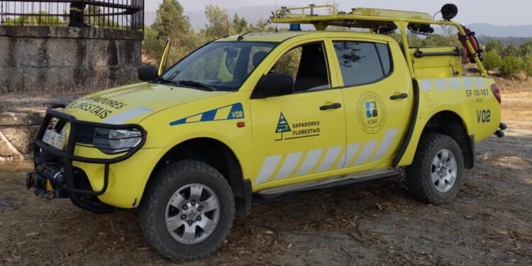 Sapador florestal de Seia acusa colegas de abusos