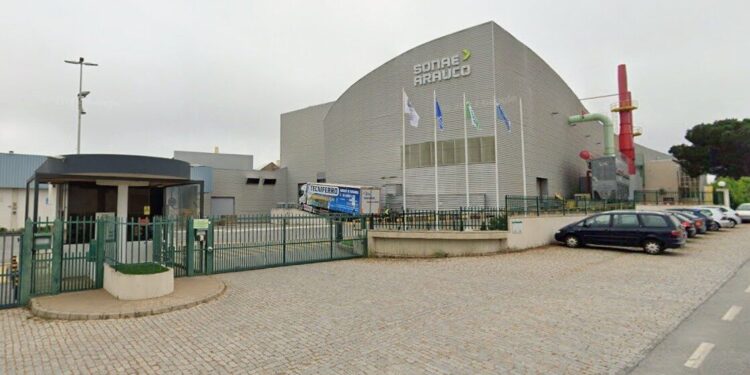 Sonae Arauco altera local da UPAC e promete plantar “mais de cinco vezes o número de árvores impactadas”