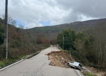 Oliveira do Hospital passa a beneficiar das medidas excecionais previstas no âmbito da resposta à situação de calamidade
