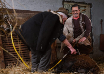 Paulo Futre é o protagonista do vídeo promocional da Festa do Queijo Serra da Estrela de Oliveira do Hospital