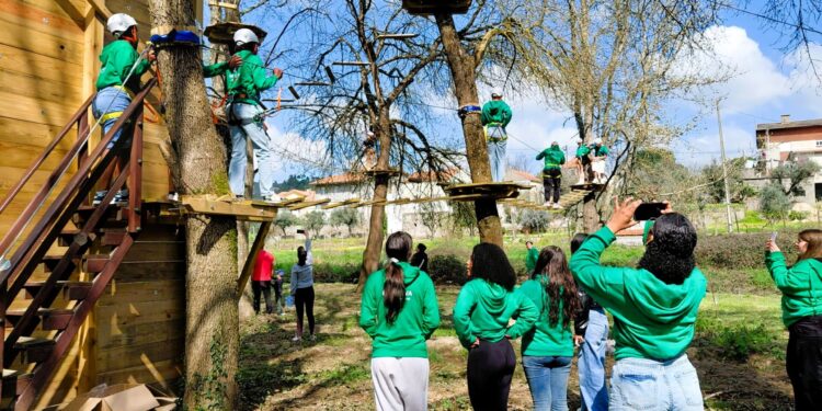 Parque Aventura em Meruge promete atrair visitantes e dinamizar a região