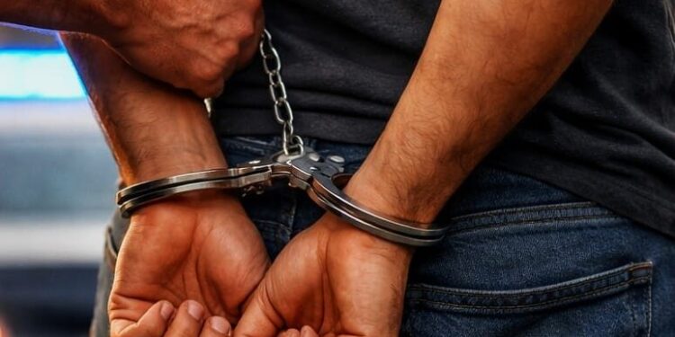 Dois homens de Oliveira do Hospital detidos por tráfico de droga