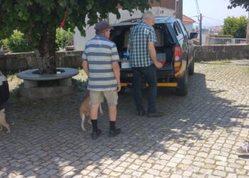 Campanha de Vacinação Antirrábica decorre até 18 de julho em Oliveira do Hospital