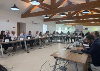 Região de Coimbra lança concurso para Comunidades de Energia Renovável de cerca de 33 milhões de euros