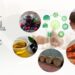 ADIBER lança Aviso de Concurso à medida “Pequenos investimentos na bioeconomia e economia circular”