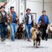 Seia celebra a Festa da Transumância e dos Pastores a 4 de julho