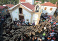 Romaria dos Rebanhos volta a cumprir a tradição na Folgosa da Madalena