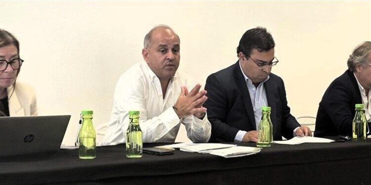 ADEPTOLIVA aprova melhor resultado financeiro de sempre
