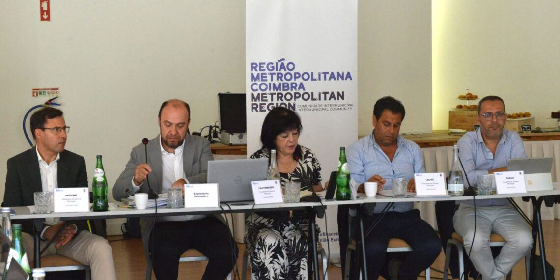 Região Metropolitana de Coimbra rejeita proposta de zonas de aceleração para energias renováveis
