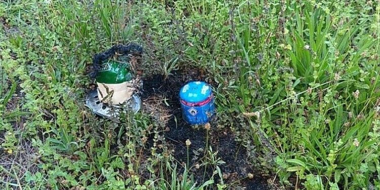 Homem detido por incêndio florestal no concelho de Oliveira do Hospital
