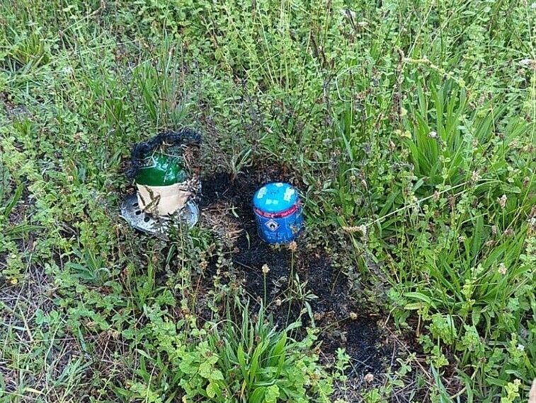 Homem detido por incêndio florestal no concelho de Oliveira do Hospital