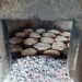 Seixo da Beira: “Domingo no Forno” regressa este domingo ao Parque Nossa Senhora da Estrela